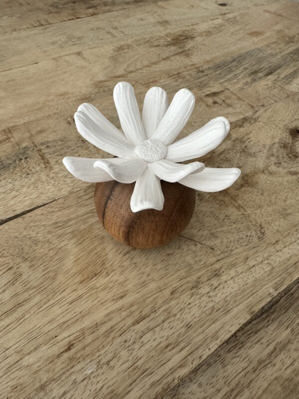 Difuuser - Margo - Image 3