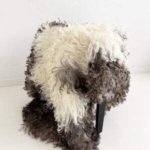 Austria mägilambanahk - unikaalne