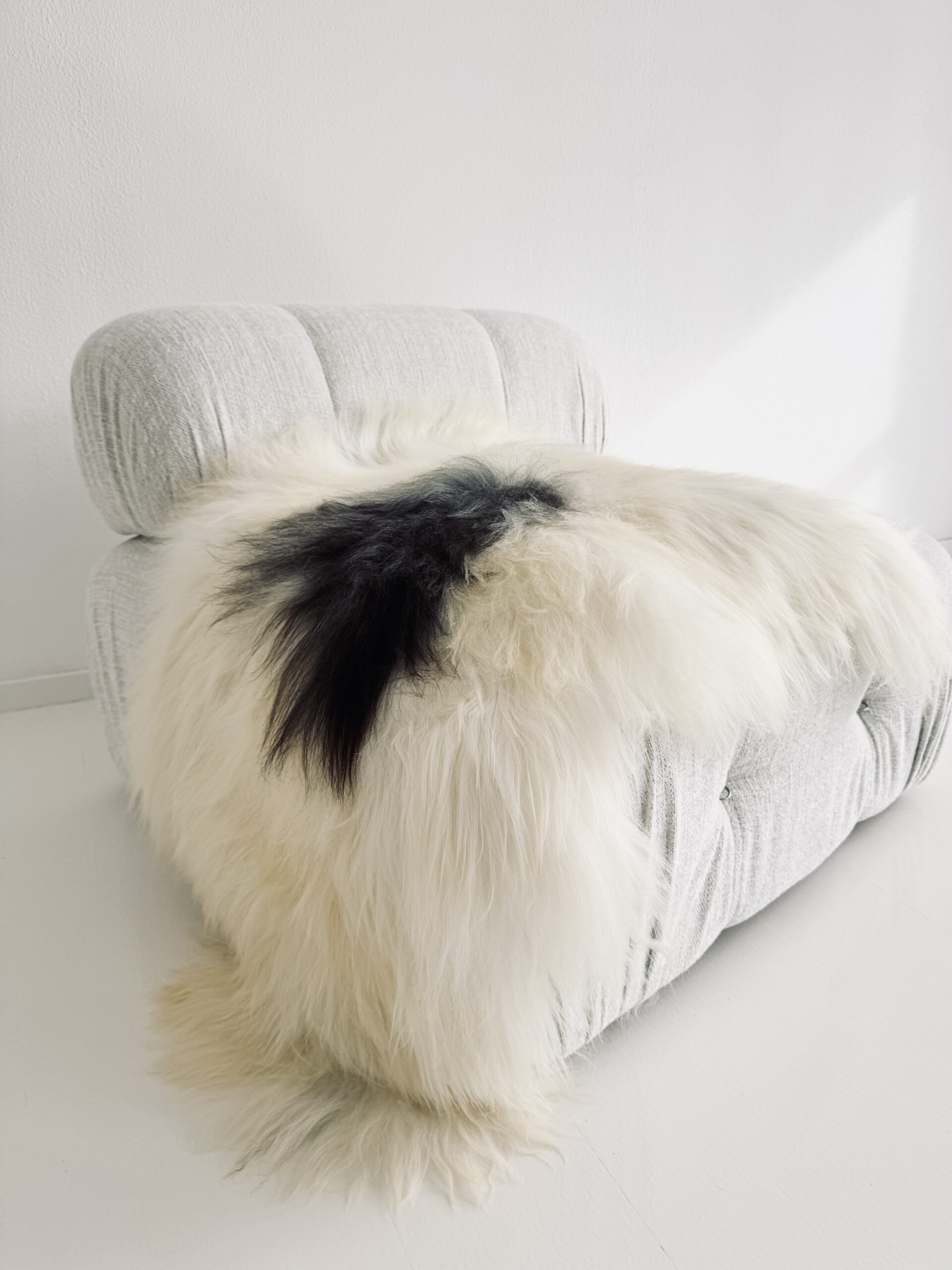 Islandi lambanahk - unikaalne