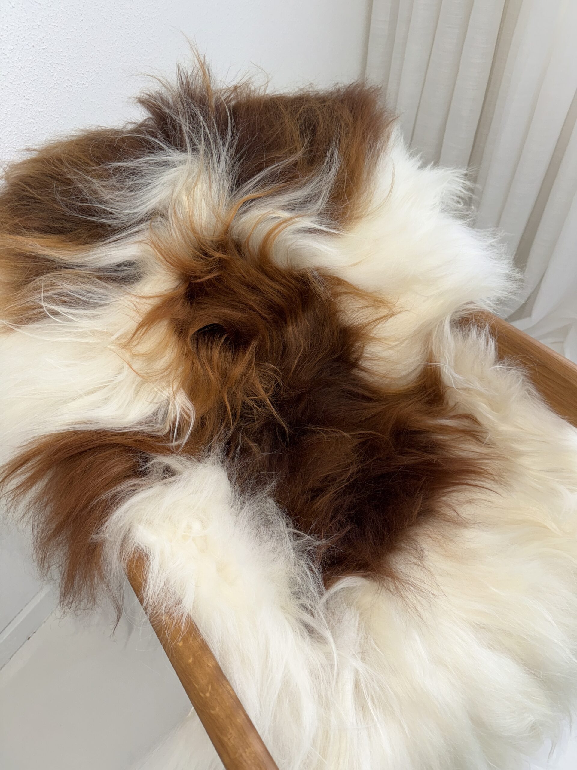 Islandi lambanahk valge-pruuni kirju - Image 4