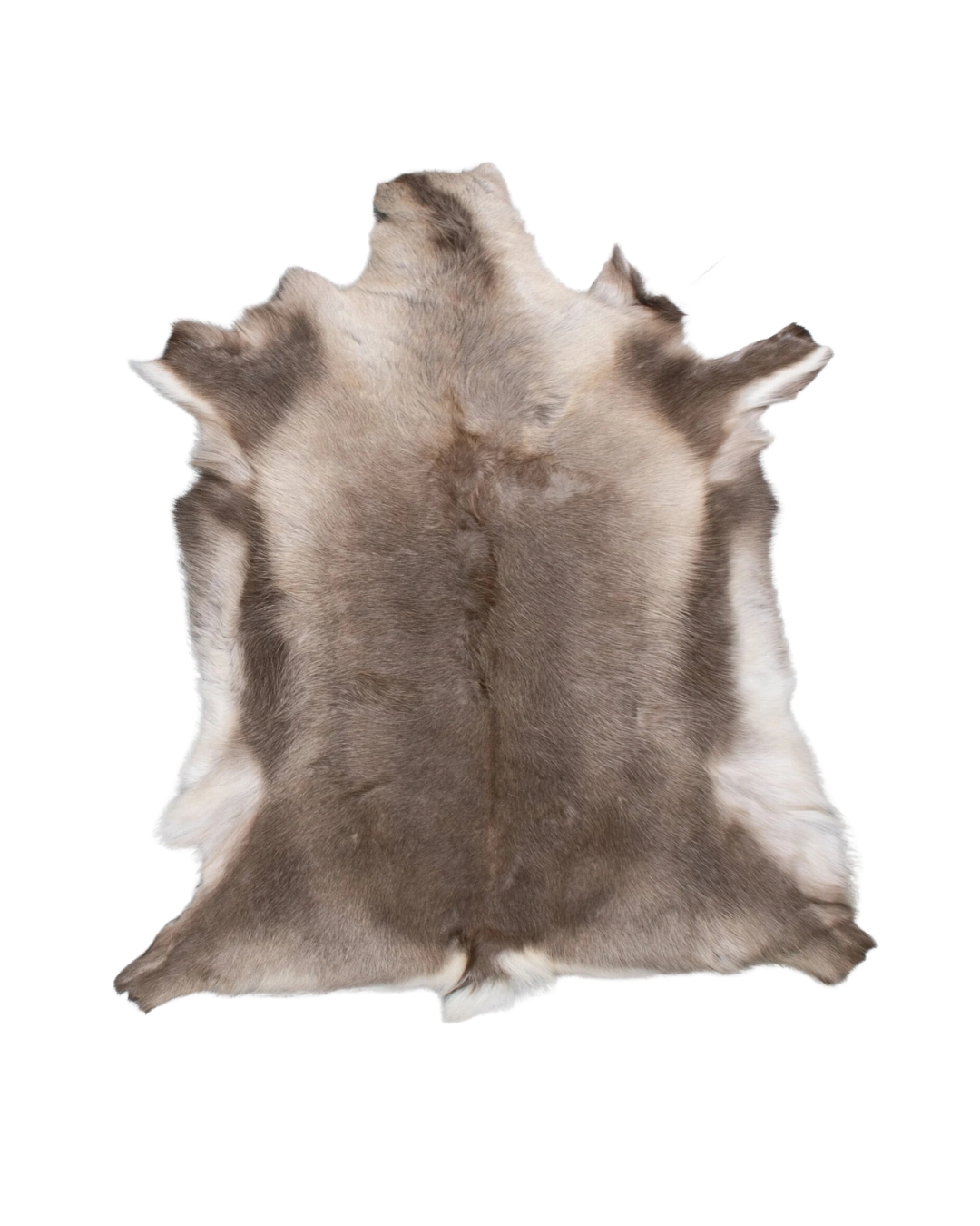 Põhjapõdra nahk - tume - Image 2