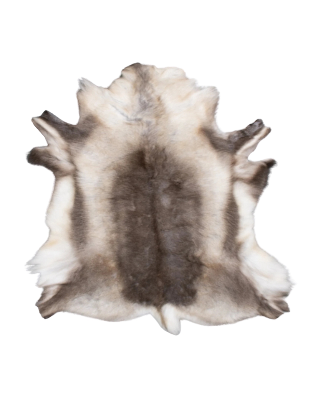 Põhjapõdra nahk - tume - Image 3