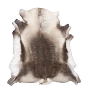 Põhjapõdra nahk - tume