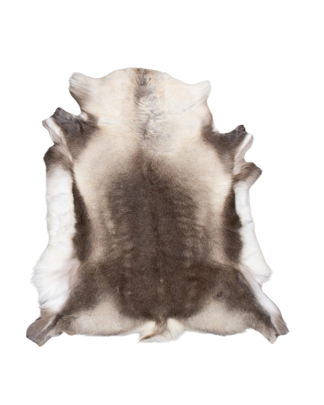 Põhjapõdra nahk - tume