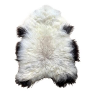 Islandi lambanahk - unikaalne