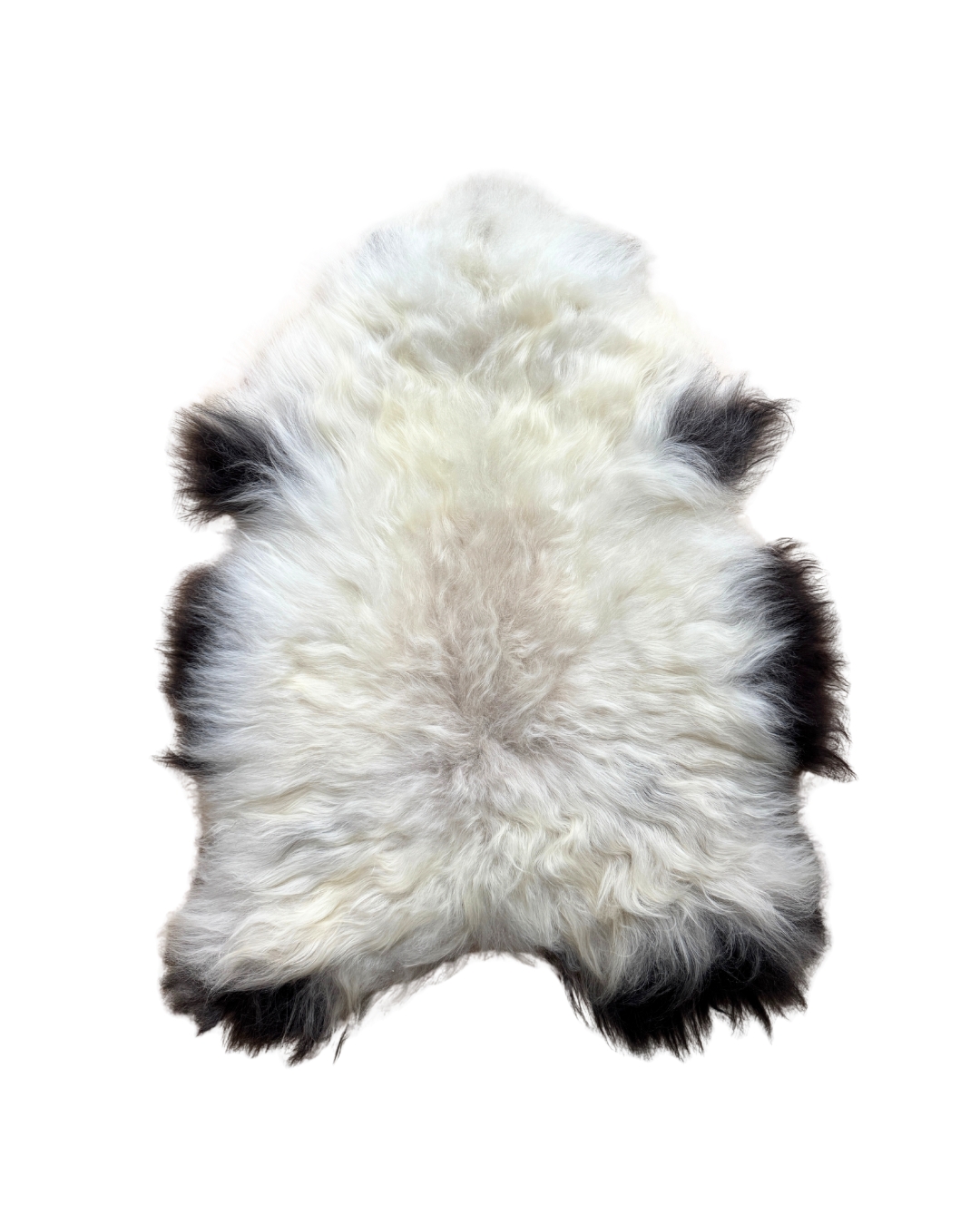 Islandi lambanahk - unikaalne