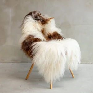 Islandi lambanahk valge-pruuni kirju