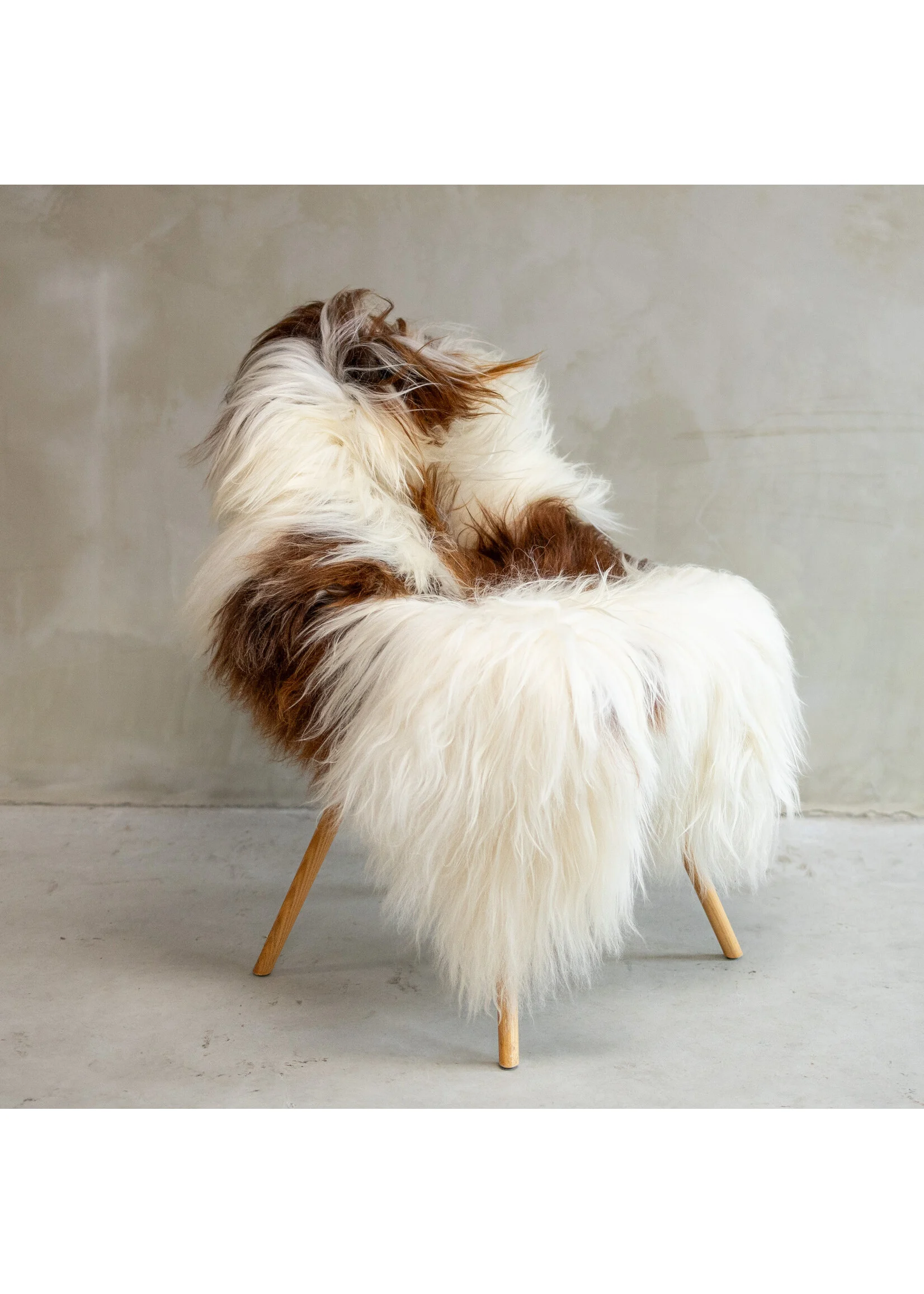 Islandi lambanahk valge-pruuni kirju