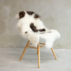 Tiibeti lokkis lambanahk - unikaalne