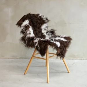 Tiibeti lokkis lambanahk - unikaalne