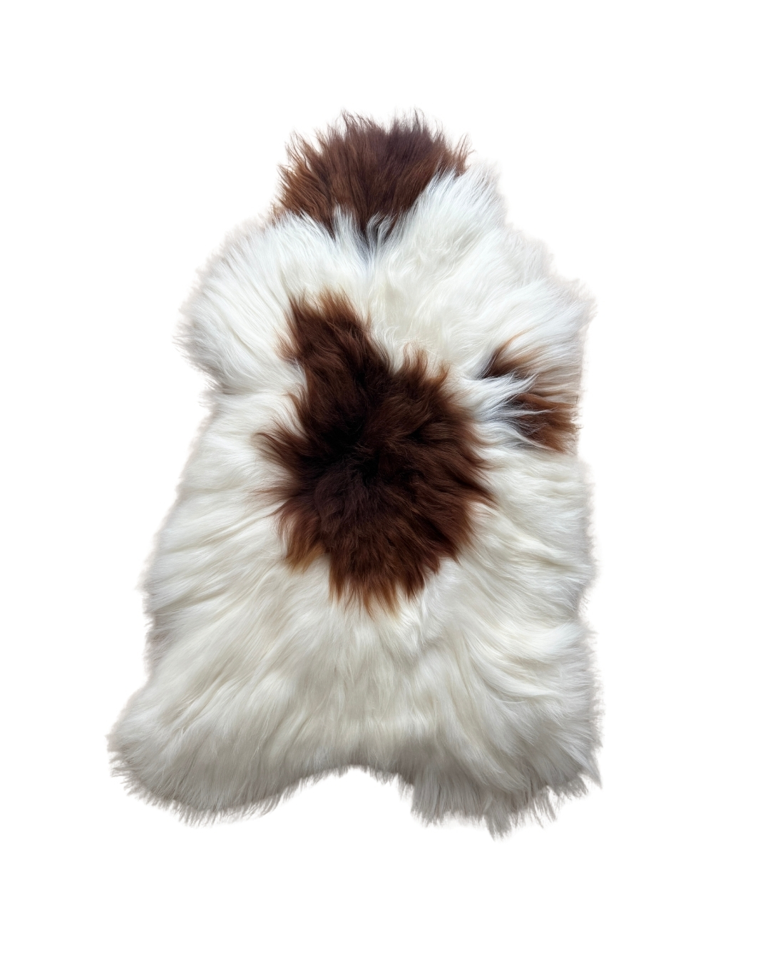 Islandi lambanahk - unikaalne