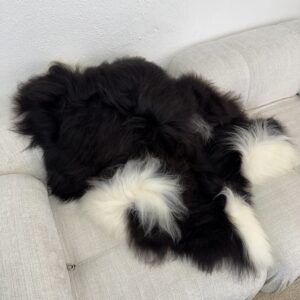 Islandi lambanahk - unikaalne