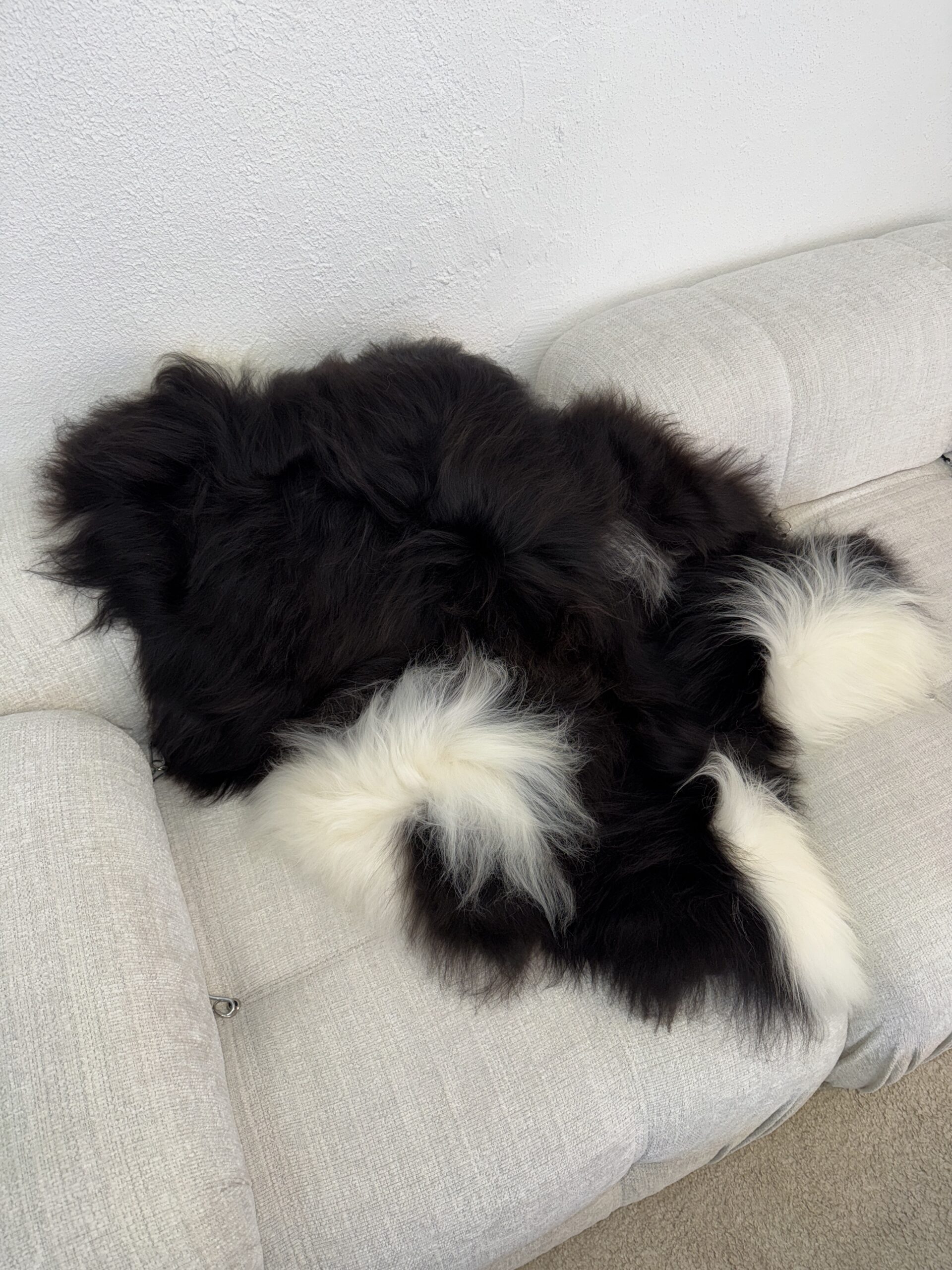 Islandi lambanahk - unikaalne