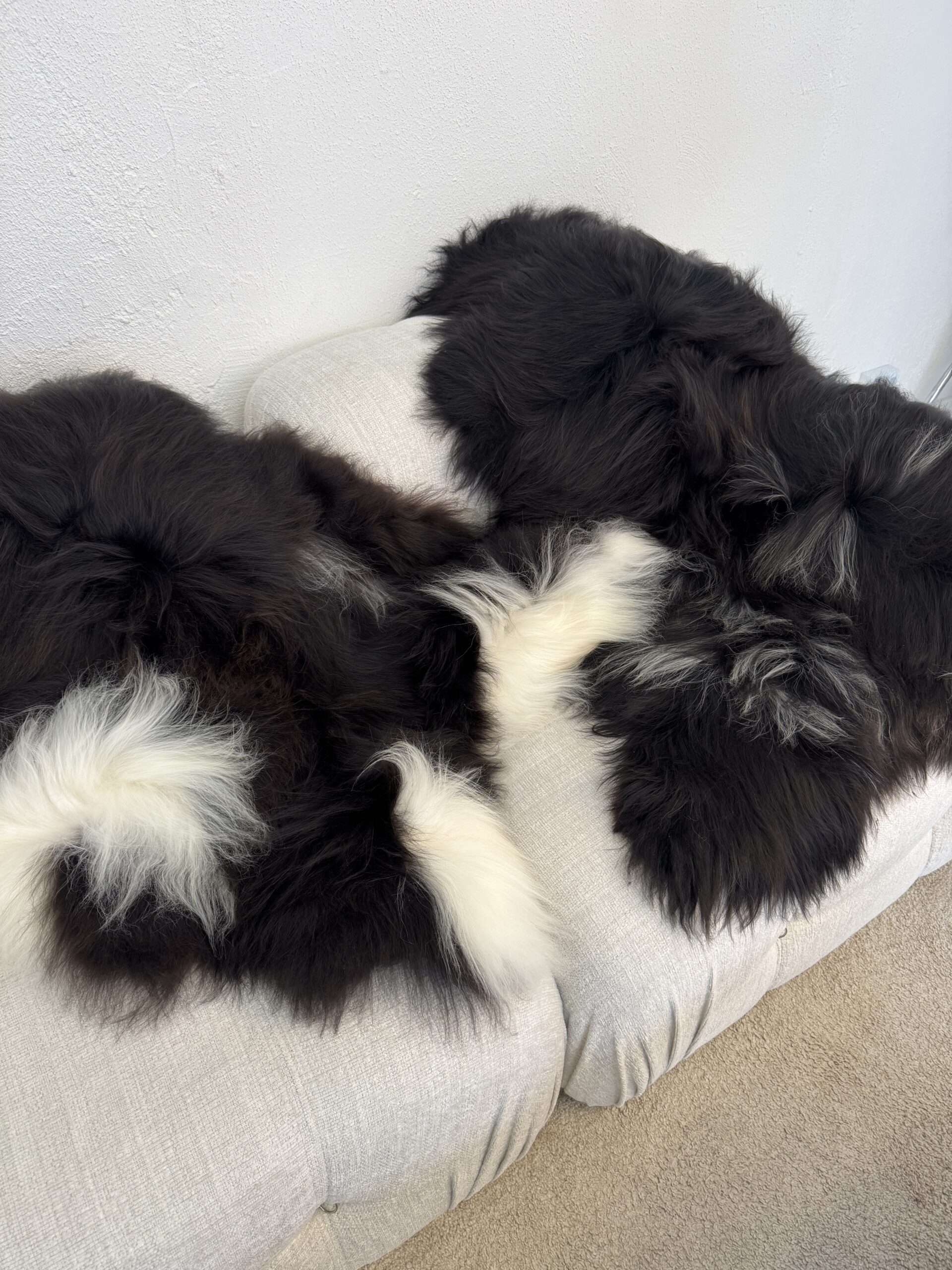 Islandi lambanahk - unikaalne - Image 2