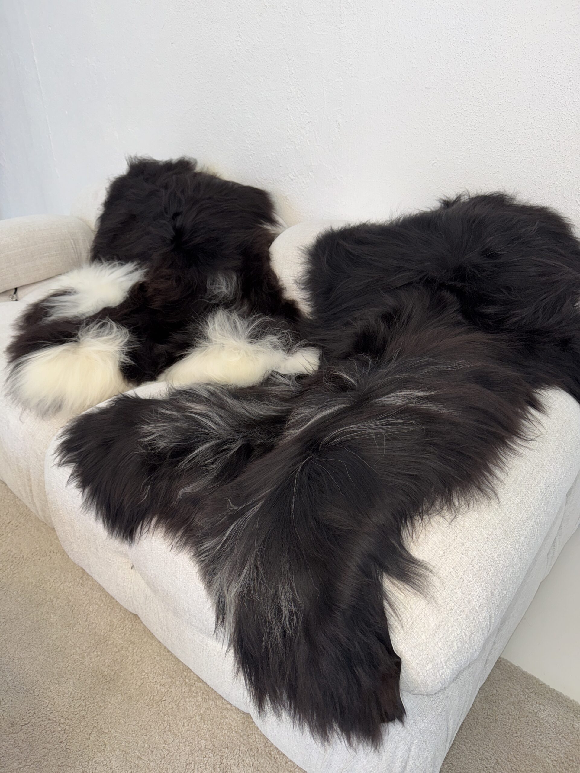 Islandi lambanahk - unikaalne - Image 2