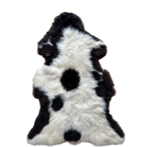 Texeli madala karvaga lambanahk - unikaalne