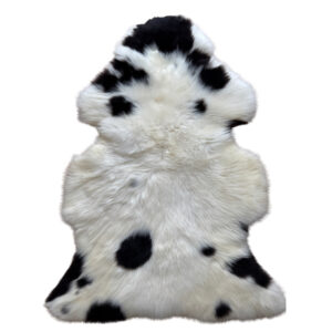 Texeli madala karvaga lambanahk - unikaalne