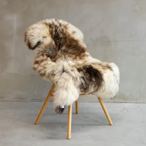 Texeli madala karvaga lambanahk - unikaalne