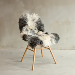 Tiibeti lokkis lambanahk - unikaalne