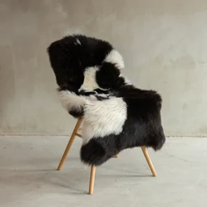 Texeli madala karvaga lambanahk - unikaalne