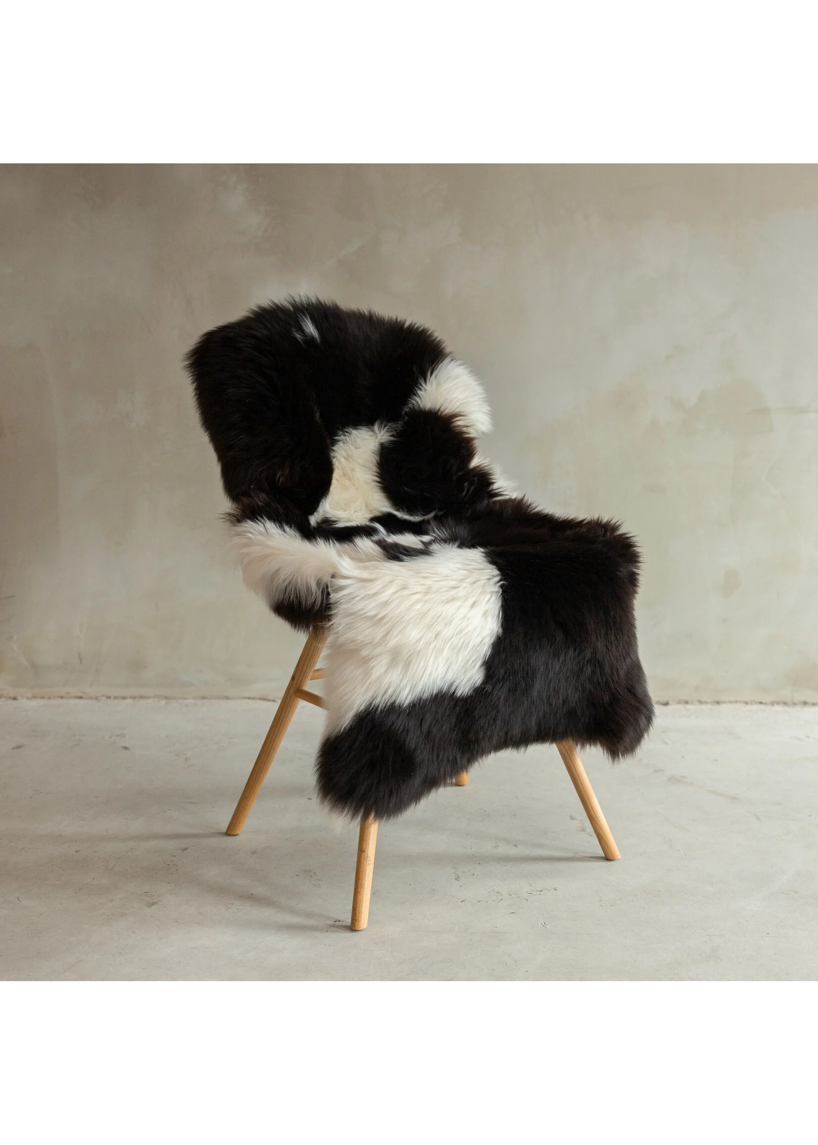 Texeli madala karvaga lambanahk - unikaalne