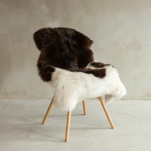 Texeli madala karvaga lambanahk - unikaalne