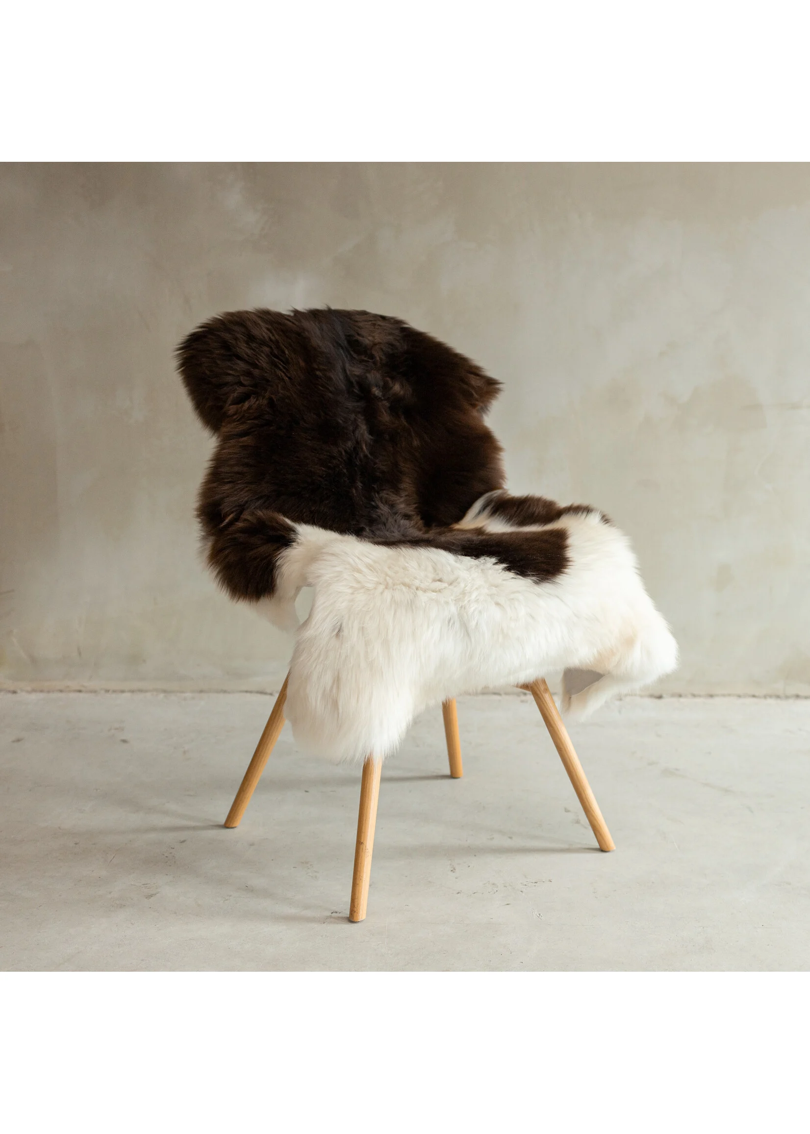 Texeli madala karvaga lambanahk - unikaalne