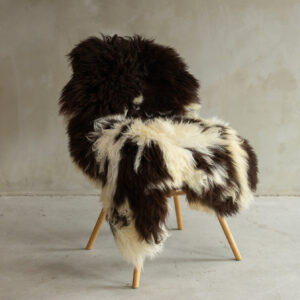 Texeli madala karvaga lambanahk - unikaalne