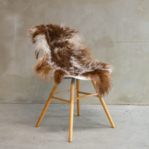 Tiibeti lokkis lambanahk - unikaalne