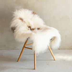 Islandi lambanahk - unikaalne