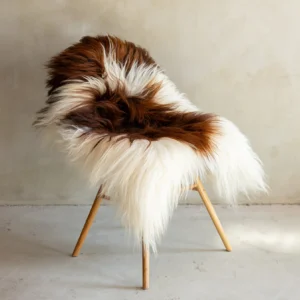 Islandi lambanahk - unikaalne