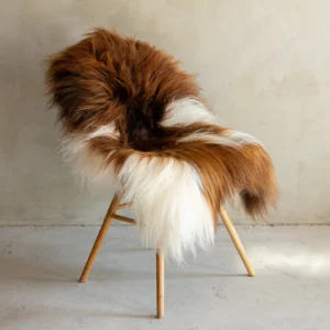 Islandi lambanahk - unikaalne